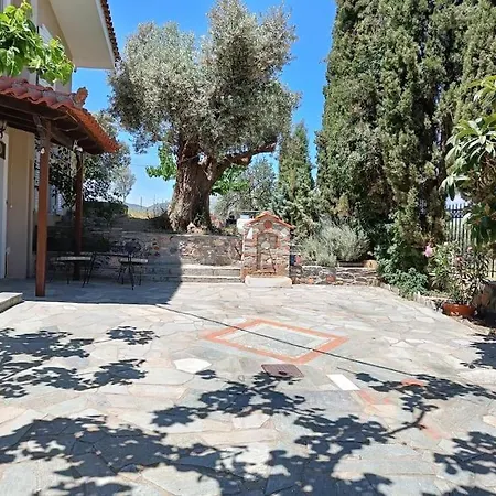 Kato Alonia Apartamento *